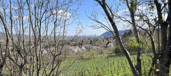 1199m² Land in Klosterneuburg, Austria No. 166185 7