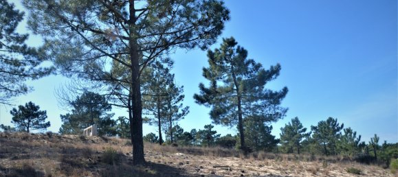215m² Land in Grandola, Portugal No. 129742 4