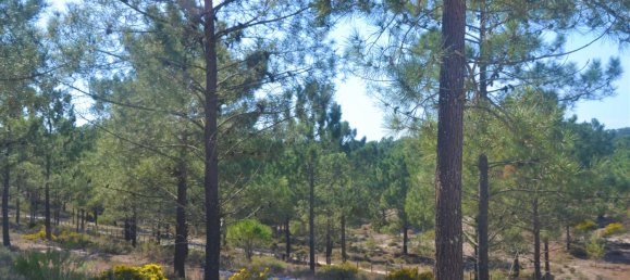 215m² Land in Grandola, Portugal No. 129742 3