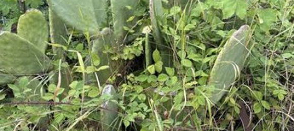 3 غرف نوم منزل في Saint-Chamond, France رقم 288599 18