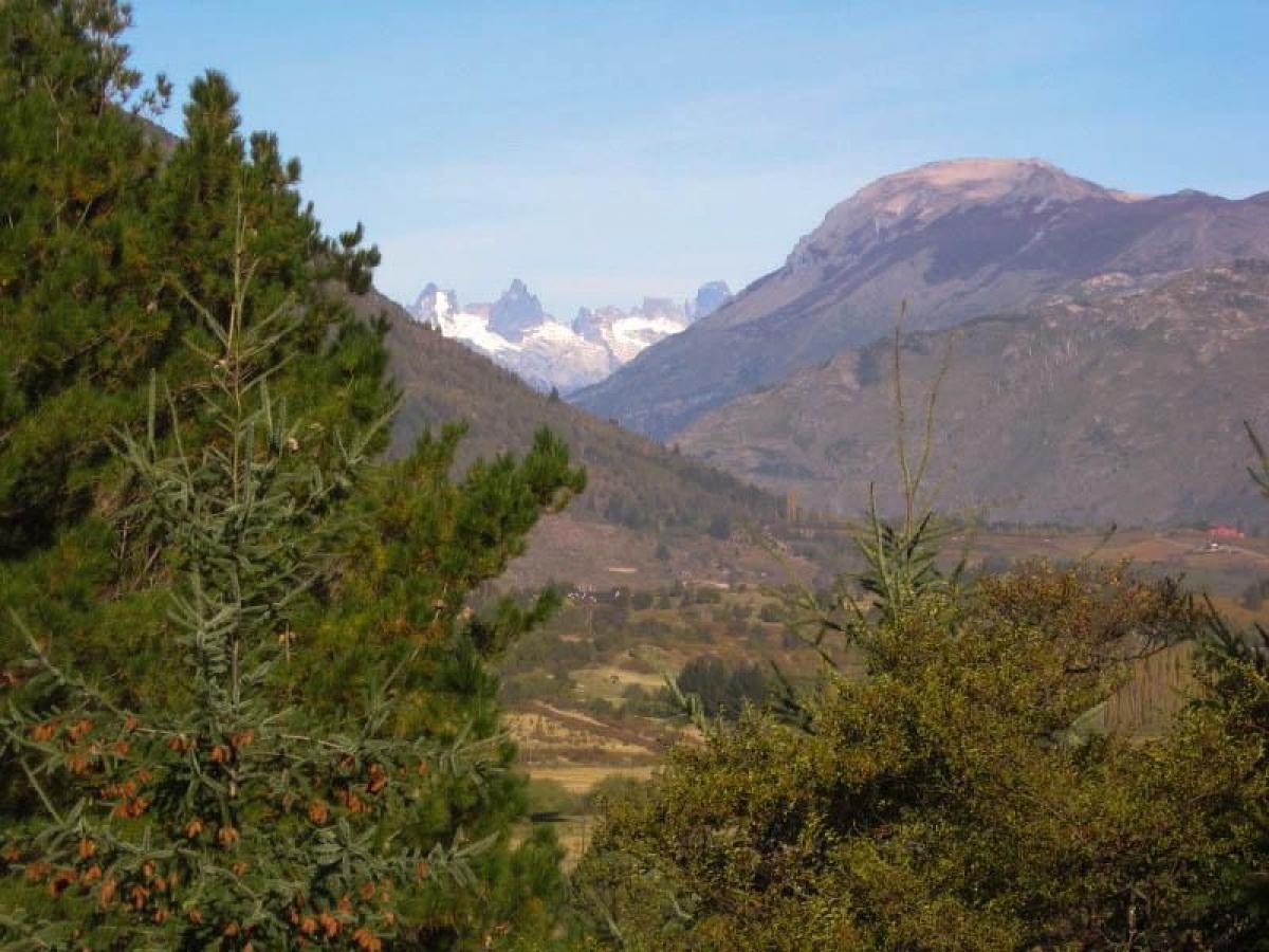  Land in Chubut, Argentina No. 37786