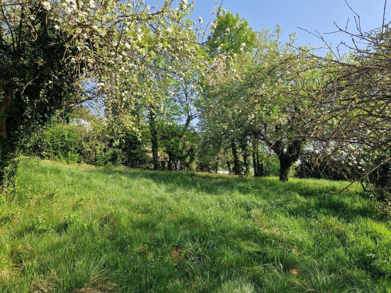 Terreno em Hartberg, Austria 656 m² N.º 231022