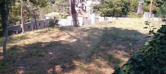  قطعة أرض في Vouzela, Portugal 725متر مربع رقم 42433 11