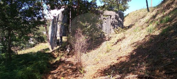  قطعة أرض في Vouzela, Portugal 725متر مربع رقم 42433 9