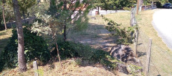  قطعة أرض في Vouzela, Portugal 725متر مربع رقم 42433 10