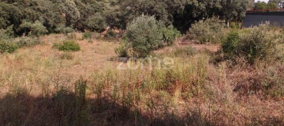 1100m² Land in Tomar, Portugal No. 68860 5