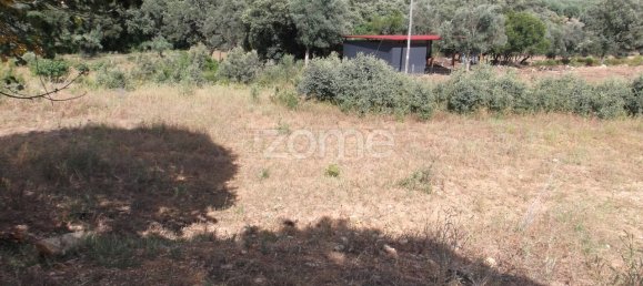 1100m² Land in Tomar, Portugal No. 68860 9
