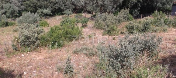 1100m² Land in Tomar, Portugal No. 68860 3