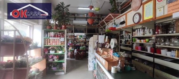 Imóvel comercial de 2 divisões em Gorizia, Italy N.º 333186 5
