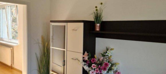 Квартира с 2 комнатами в Брунн ам Гебирге, Австрия № 206314 4