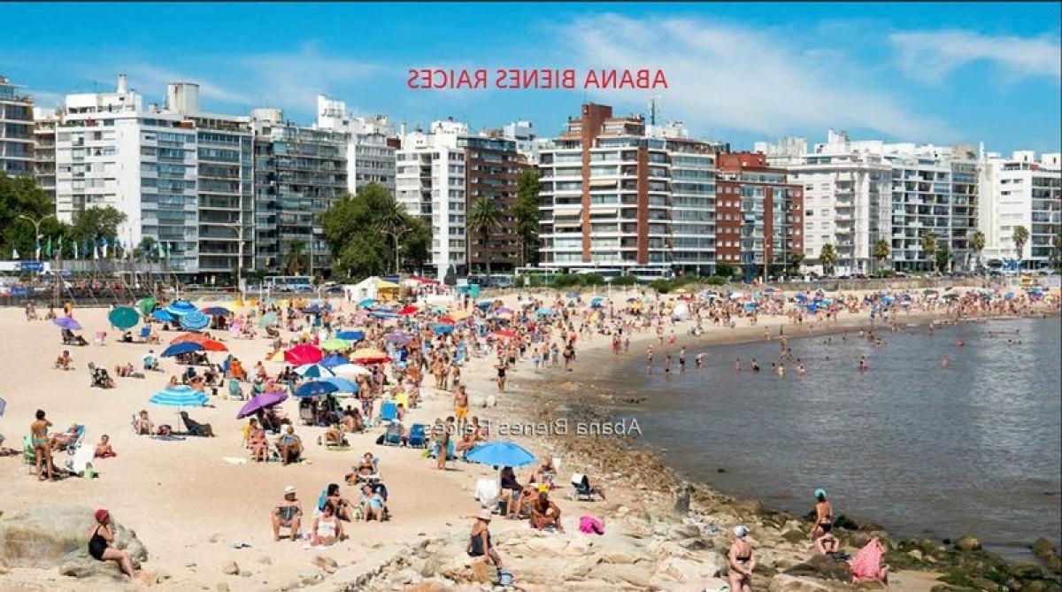 Студия в Монтевидео, Уругвай № 8876