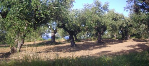  قطعة أرض في Zakynthos, Greece رقم 510 5