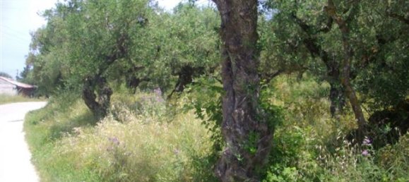  قطعة أرض في Zakynthos, Greece رقم 510 2