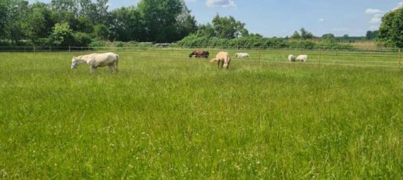 Terreno em Darmstadt-Dieburg, Germany 5032 m² N.º 138803 5