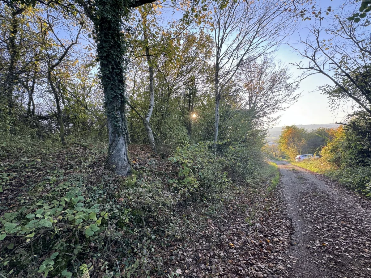 1649m² Land in Chateau-Salins, France No. 214631