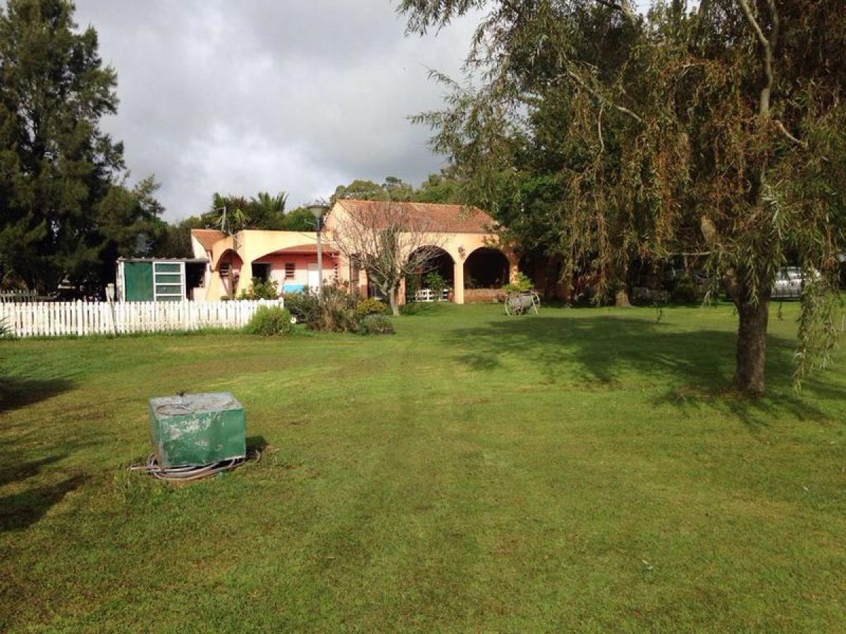 2 Schlafzimmer Haus in Mar del Plata, Argentina, Nr. 88913