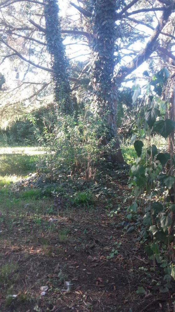  Land in San Miguel, Argentina No. 111267