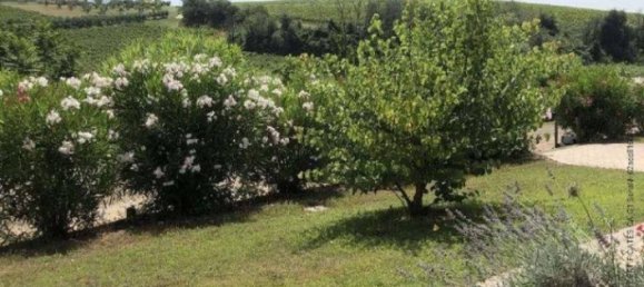 716m² Commercial property in Velletri, Italy No. 201110 3