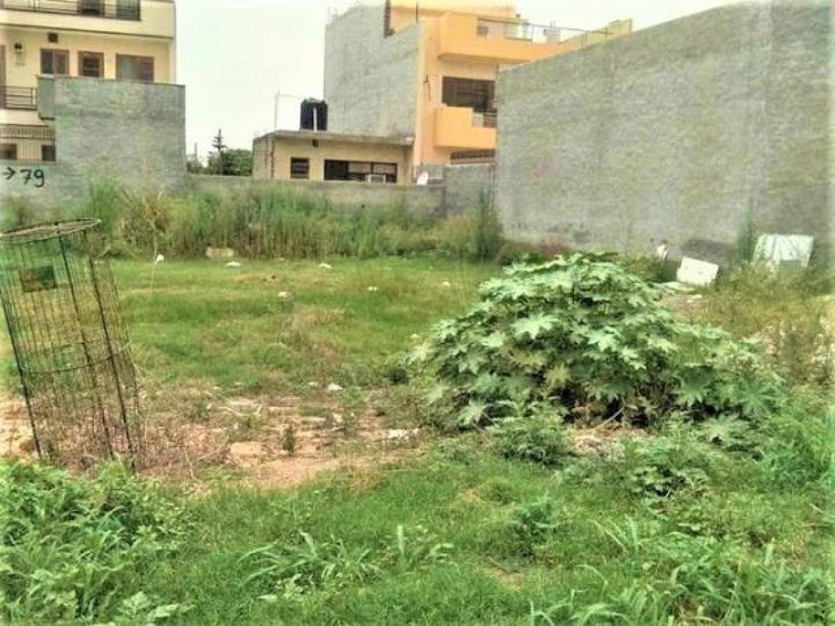  Land in Mohali, India No. 33724