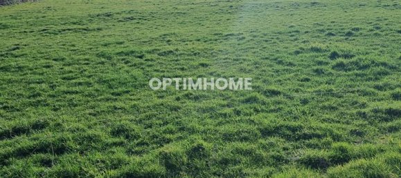 3 bedrooms House in Martigny-le-Comte, France No. 192717 31