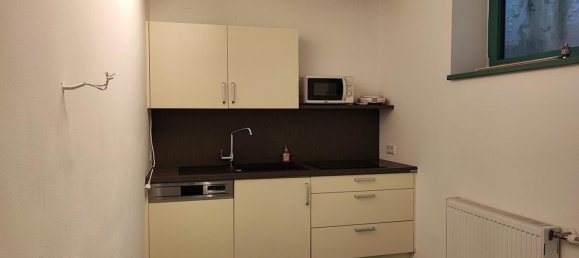 Gewerbliche Immobilie in Mauerbach, Austria 219m², Nr. 127737 17