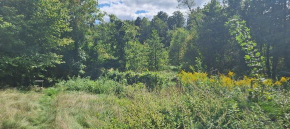 Grundstück in Oder-Spree, Germany, Nr. 315354 2