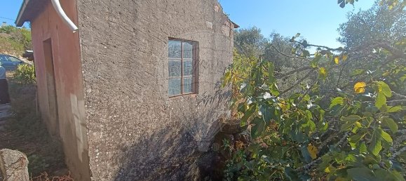 2 Schlafzimmer Haus in Figueiro dos Vinhos, Portugal, Nr. 24668 12