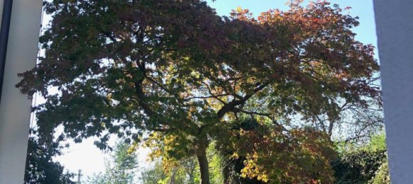 3 Schlafzimmer Stadthaus in Koblach, Austria, Nr. 171417 10