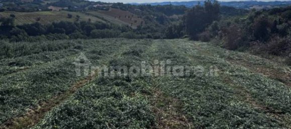 Studio à Montegiorgio, Italy No. 345762 17