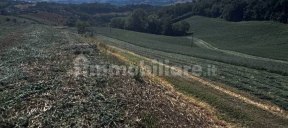 Studio à Montegiorgio, Italy No. 345762 14