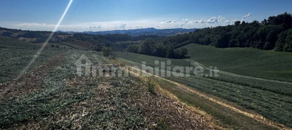 Studio à Montegiorgio, Italy No. 345762 15