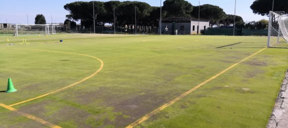 5 rooms Commercial property in Cerveteri, Italy No. 167441 17