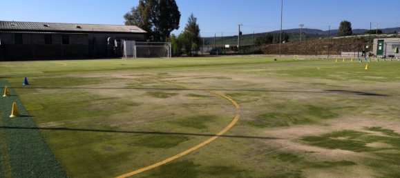 5 rooms Commercial property in Cerveteri, Italy No. 167441 14