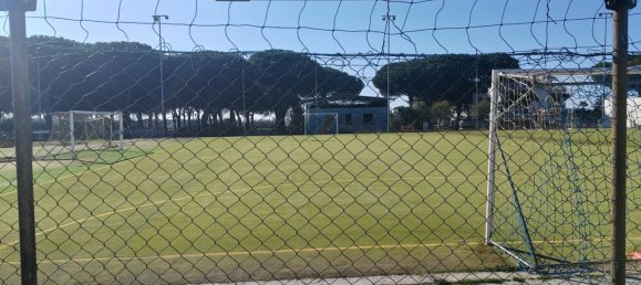 5 rooms Commercial property in Cerveteri, Italy No. 167441 4