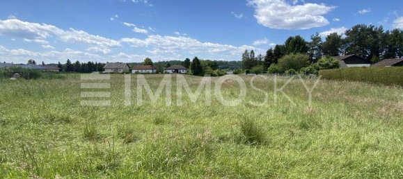  Land in Stegersbach, Austria No. 197951 5