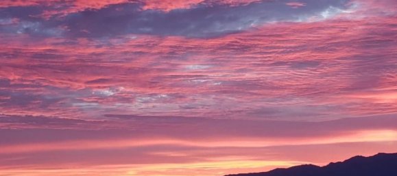 Moradia em banda T3 em Sant'Antonino, France N.º 270034 14