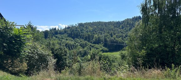 Земельный участок в Фёлькермаркт, Австрия № 130043 3