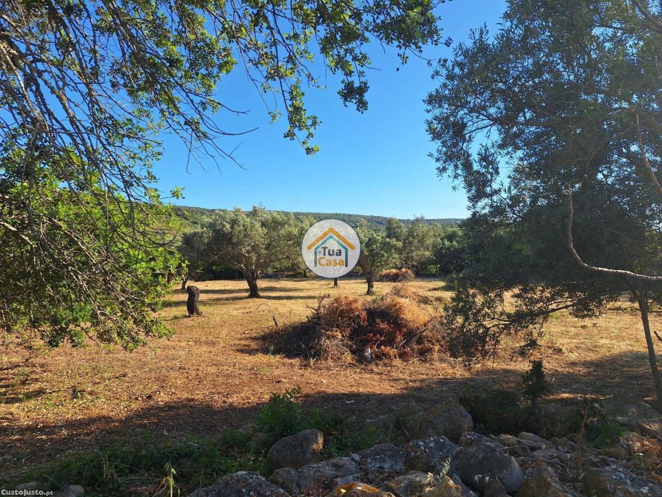 4450m² Land in Loule, Portugal No. 86041