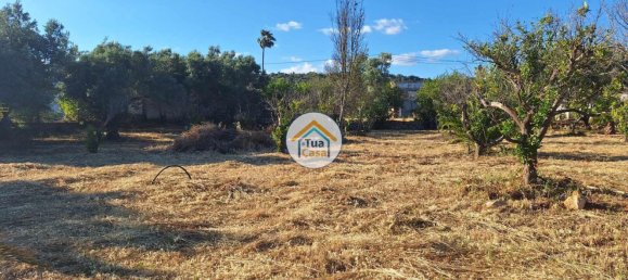 Земельный участок 4450м² в Лоле, Португалия № 86041 16