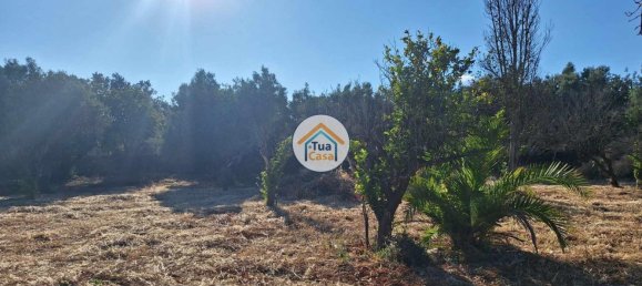 Земельный участок 4450м² в Лоле, Португалия № 86041 3