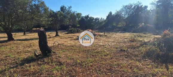 Земельный участок 4450м² в Лоле, Португалия № 86041 7