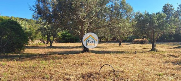 Земельный участок 4450м² в Лоле, Португалия № 86041 19