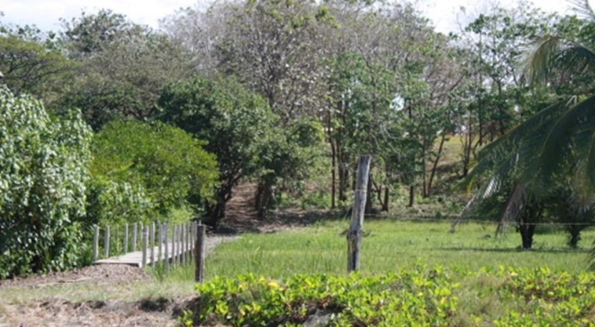 terreno en venta en Santa Cruz, Guanacaste, Costa Rica № 1880