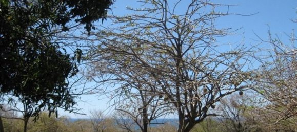 terreno en venta en Santa Cruz, Guanacaste, Costa Rica № 1880 3