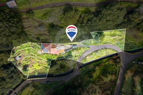 3 bedrooms House in Camacha, Portugal No. 249085