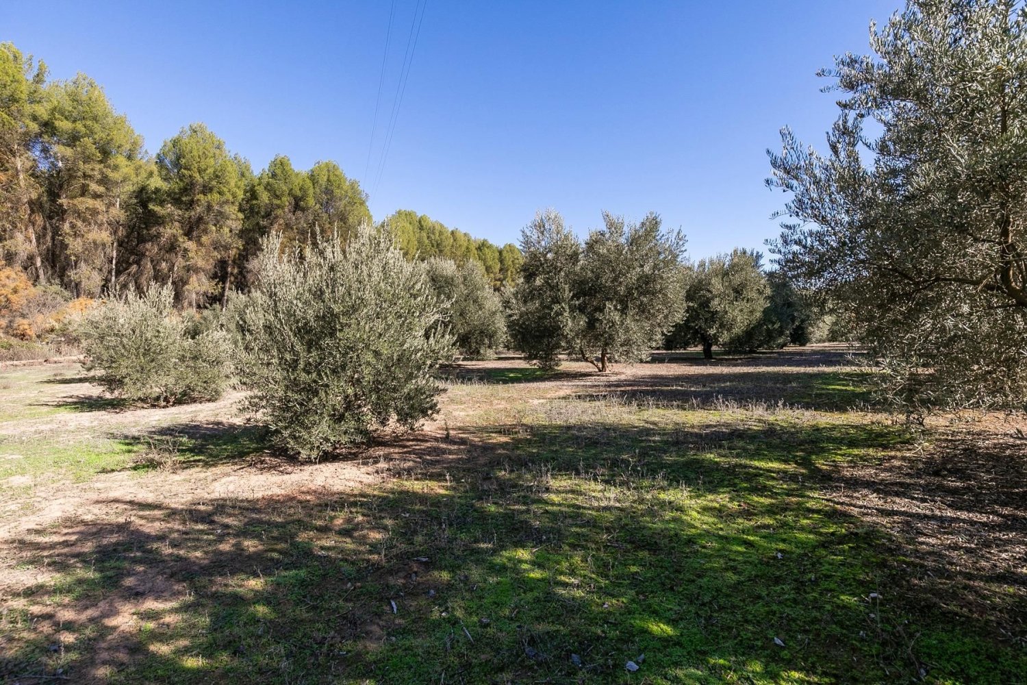 26000m² Land in Granada, Spain No. 108074