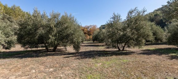 26000m² Land in Granada, Spain No. 108074 2