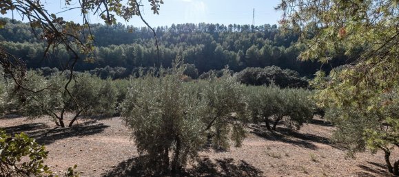 26000m² Land in Granada, Spain No. 108074 9