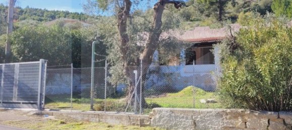 Imóvel comercial de 5 divisões em Vieste, Italy N.º 27001 43