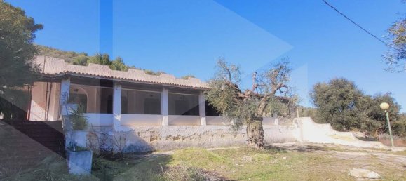 Imóvel comercial de 5 divisões em Vieste, Italy N.º 27001 12